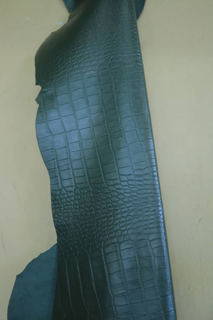 Crocodile skin leather